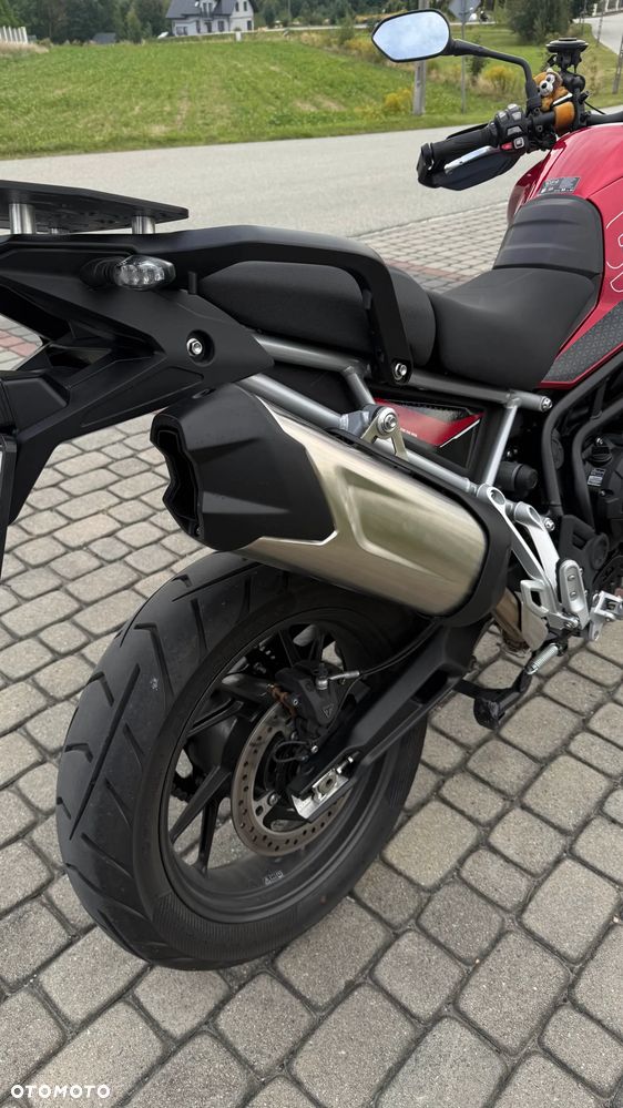 Triumph Tiger - 10