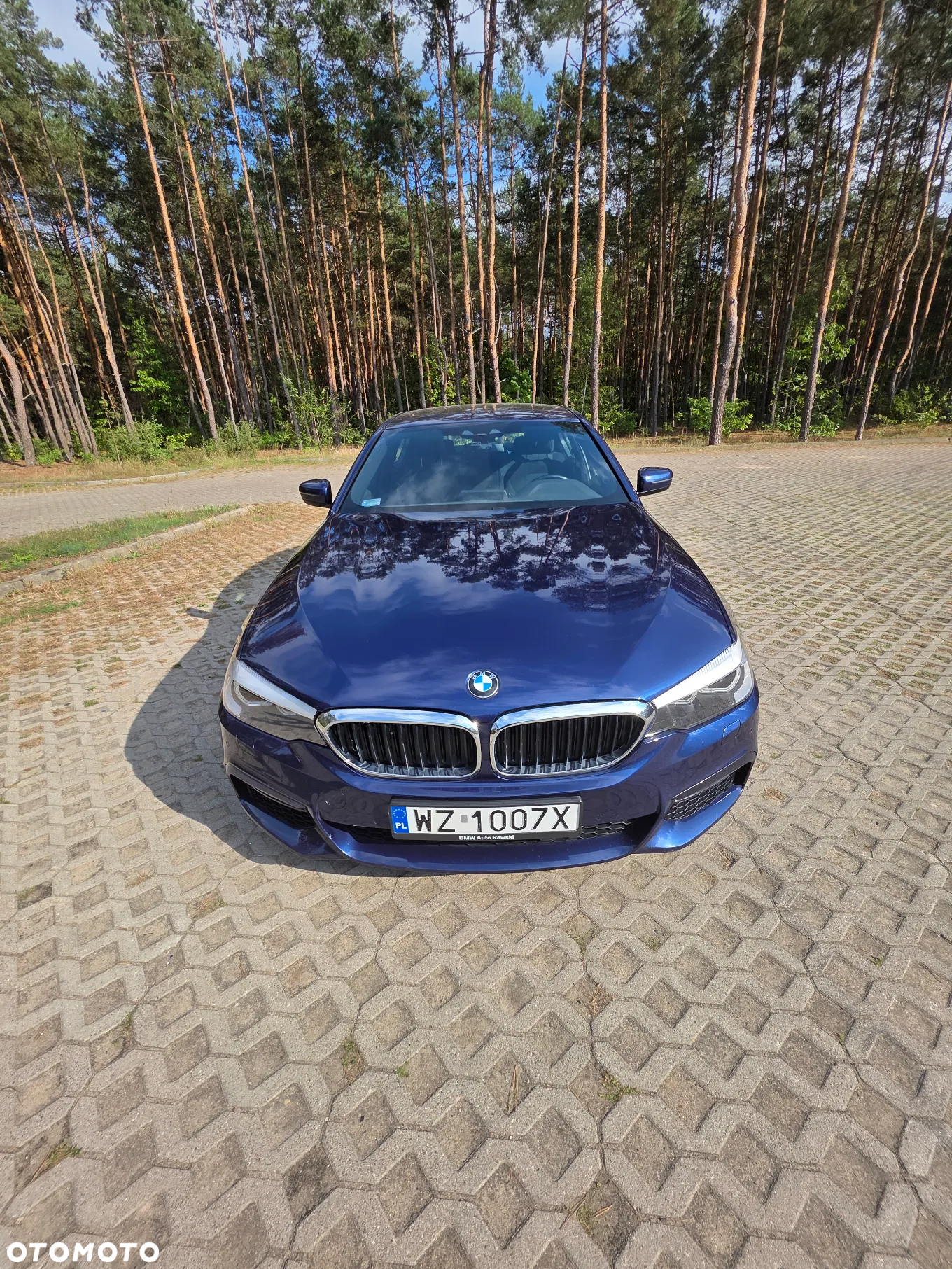 BMW Seria 5 520d xDrive - 15