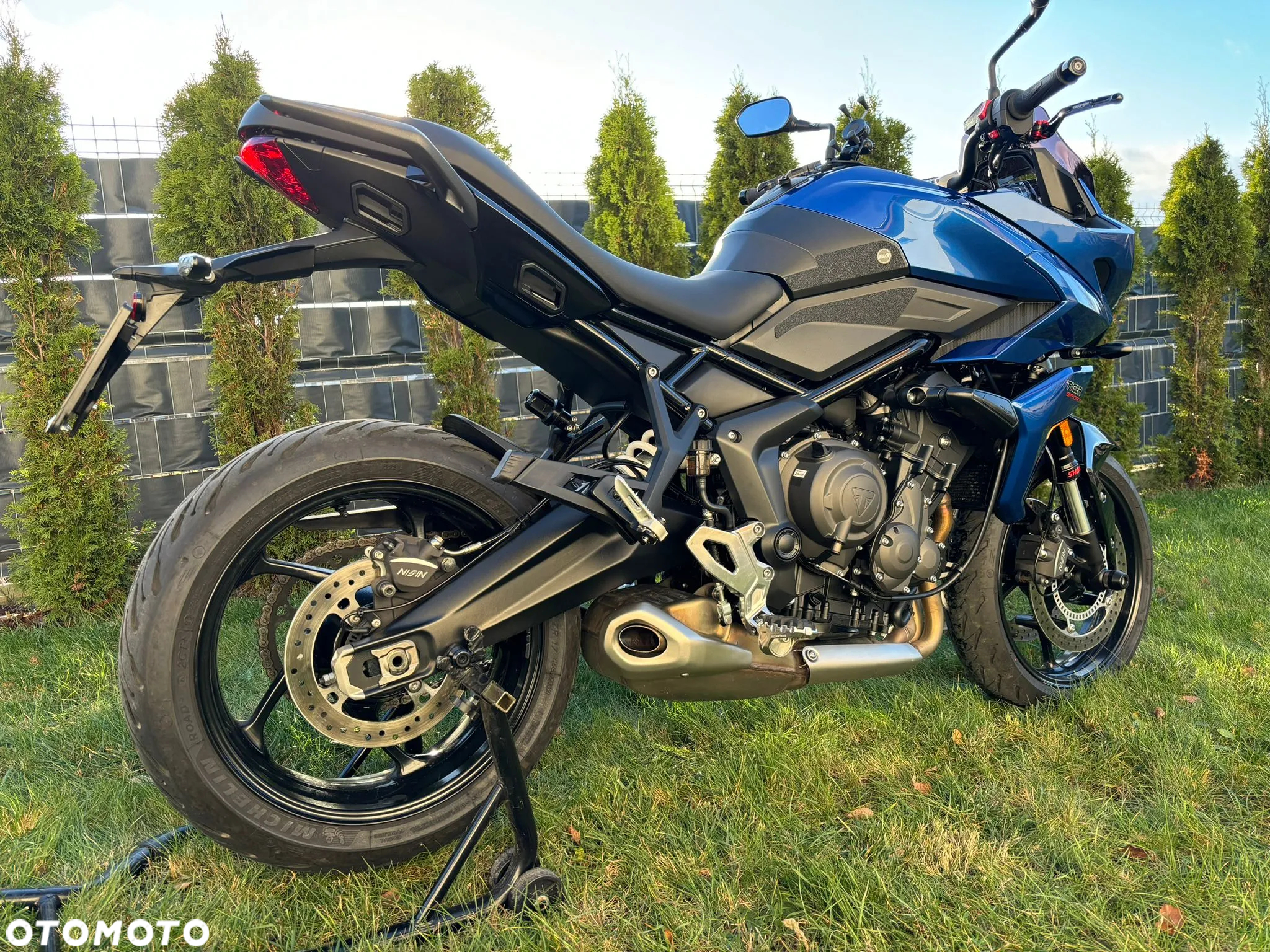 Triumph Tiger - 4