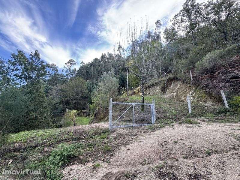Terreno junto a Barragem de Albufeira da Caniçada, Gerês - Grande imagem: 4/10