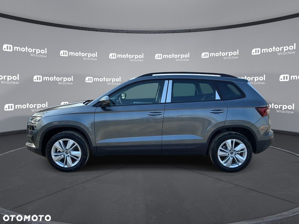 Skoda Karoq - 11