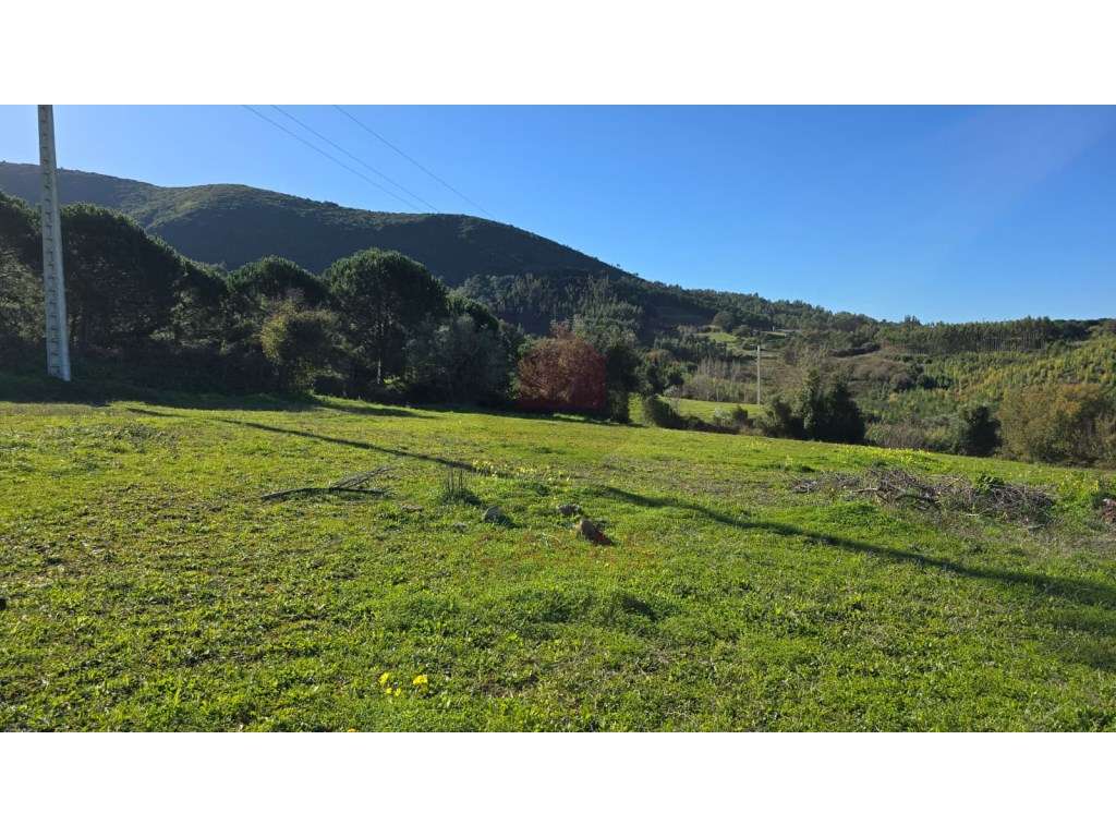 Terreno Exclusivo de 12.000 m² na Serra de Montejunto - Onde a Natu... - Grande imagem: 4/20