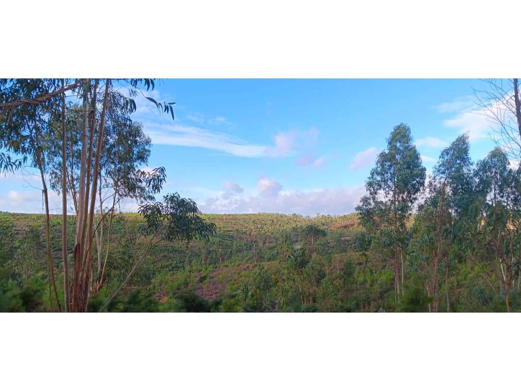 Terreno Rústico com 1.940 m² - Largo, Freguesia de Mação - Grande imagem: 2/8