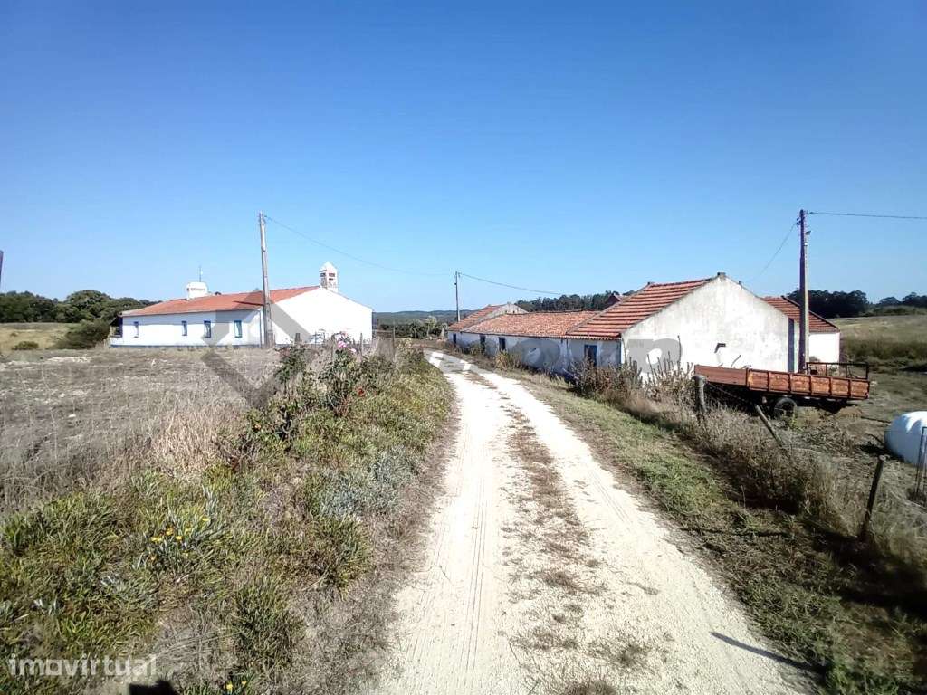 Herdade de 48,5Ha localizada no Malavado, São Teotónio com 20Ha de ... - Grande imagem: 5/34