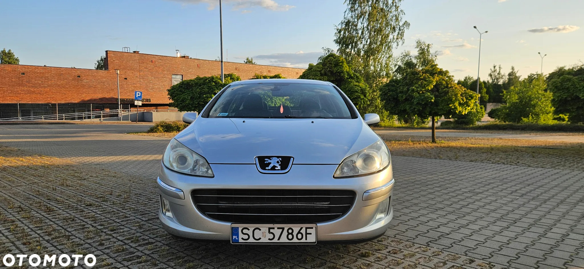 Peugeot 407 2.0 HDi Premium - 10