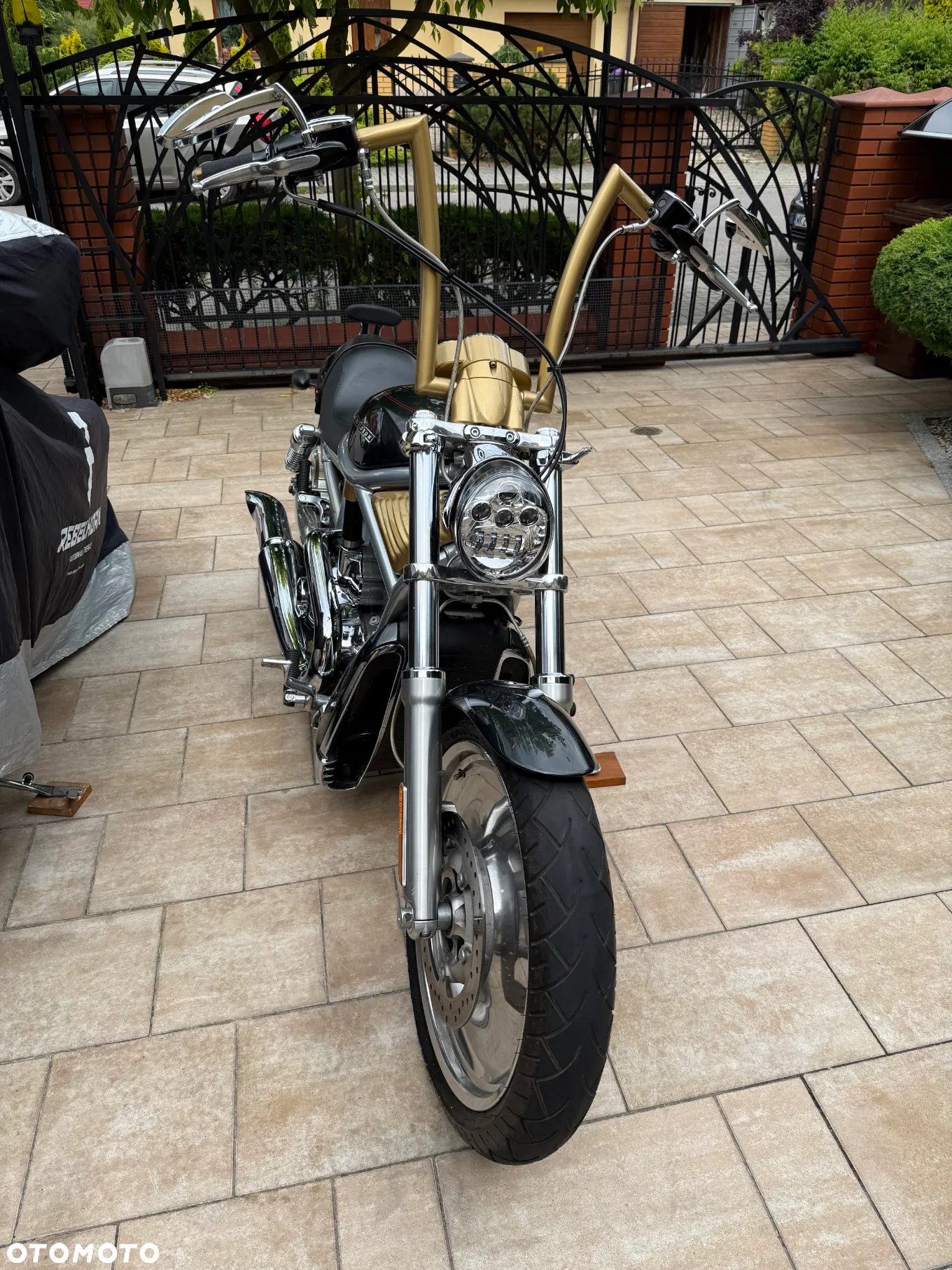 Harley-Davidson Softail V-Rod - 2