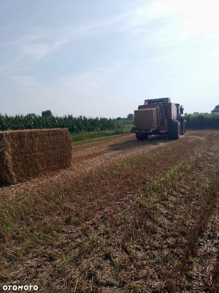 Massey Ferguson HESSTON 4900 - 8