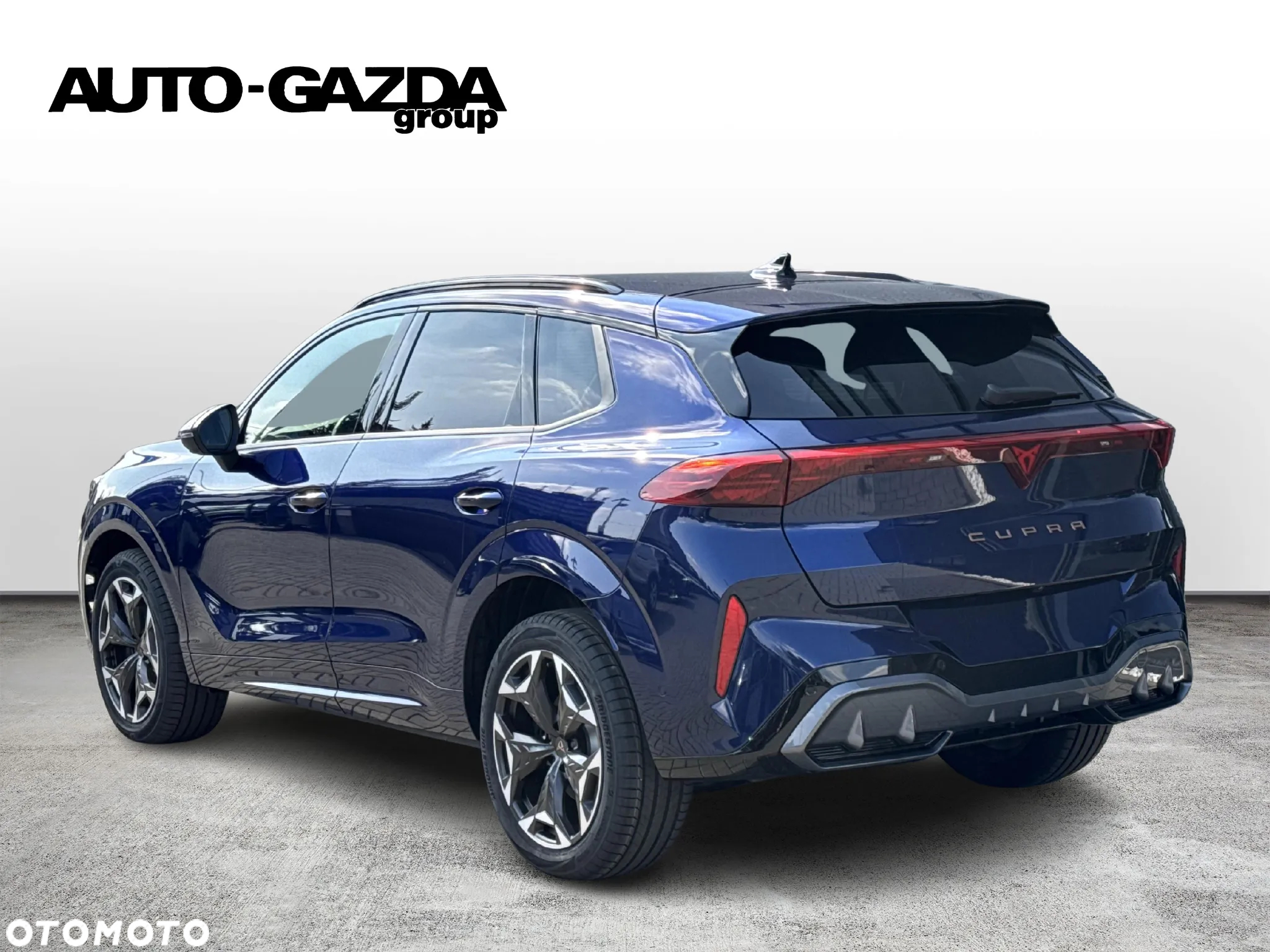 Cupra Terramar 2.0 TSI 4Drive DSG VZ - 2