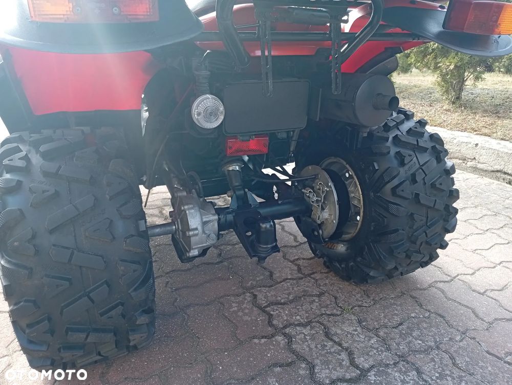 Kawasaki Brute Force - 7