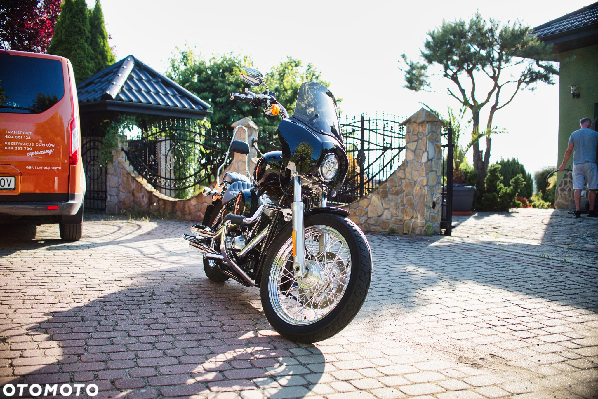 Harley-Davidson Softail Standard - 3