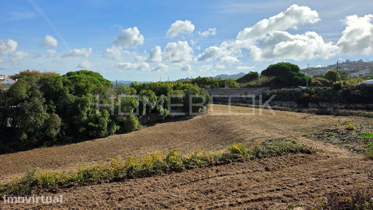 Terreno Urbano 4.723 m2, Almoçageme, Colares, Sintra - Grande imagem: 5/13