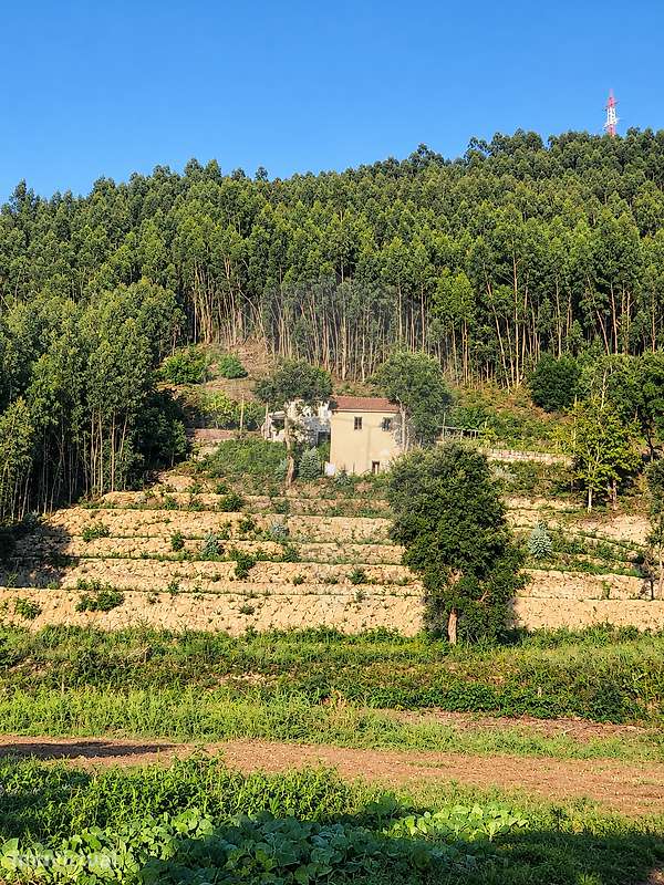 Terreno  para venda - Grande imagem: 3/3