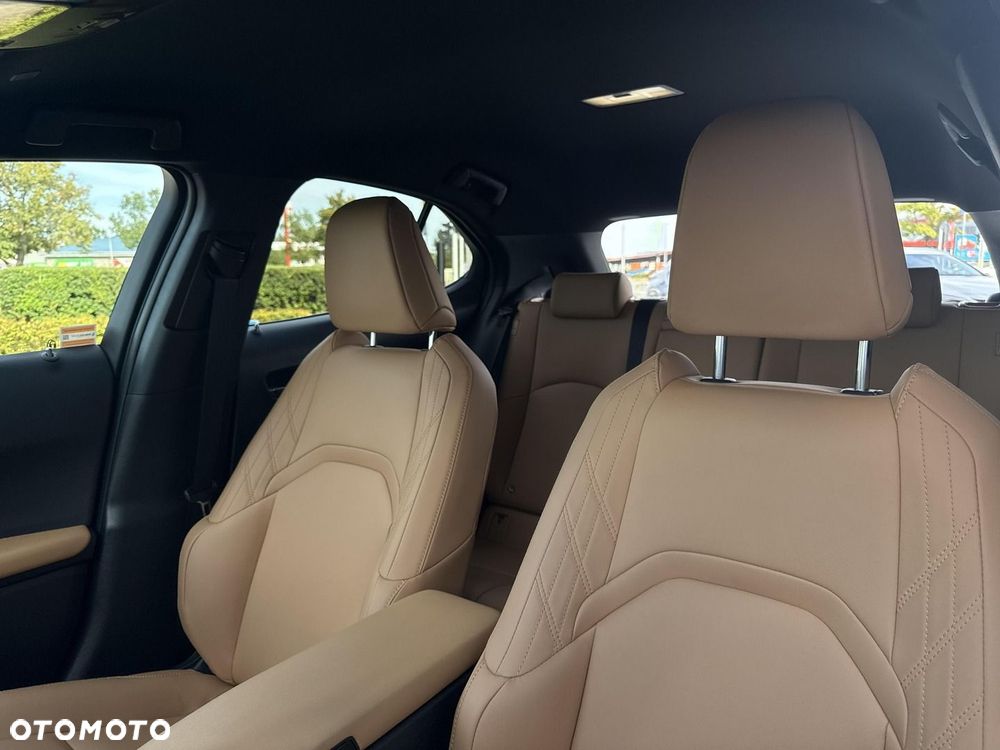 Lexus UX 250h GPF F Sport Design 2WD - 13