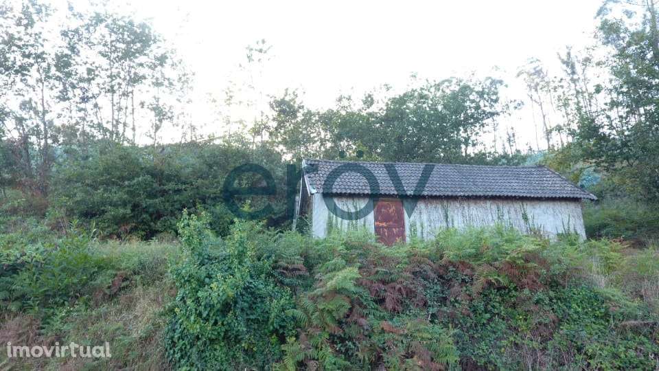 Terreno em Joane - Vila Nova de Famalicão - Grande imagem: 3/18