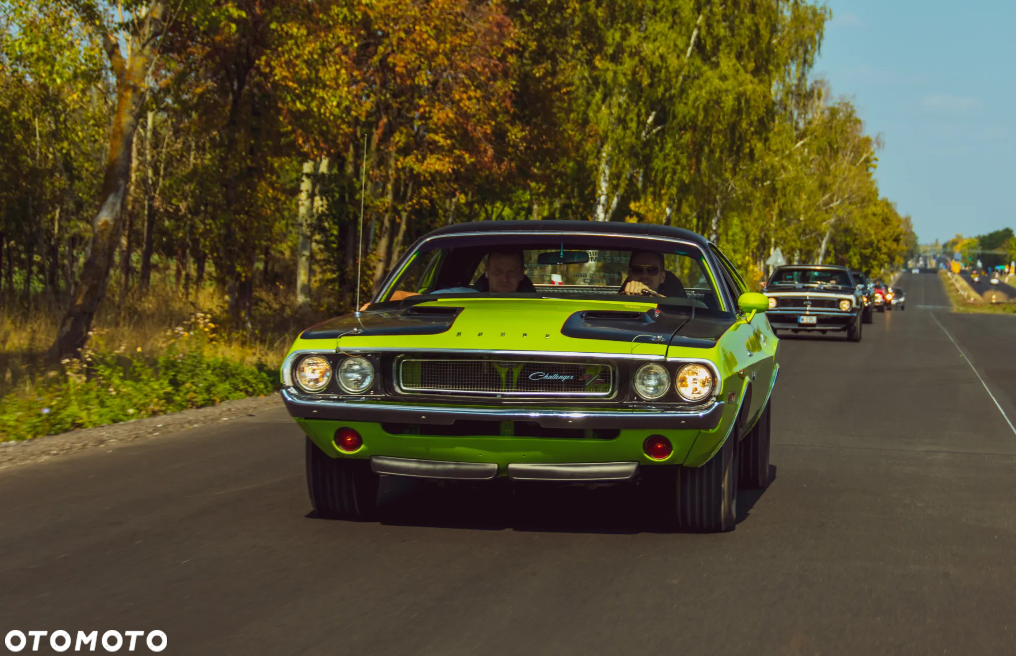 Dodge Challenger - 38