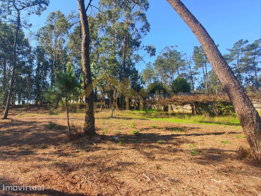 Terreno ideal para moradia de sonho - 1600 m²,90% construção - Grande imagem: 5/25