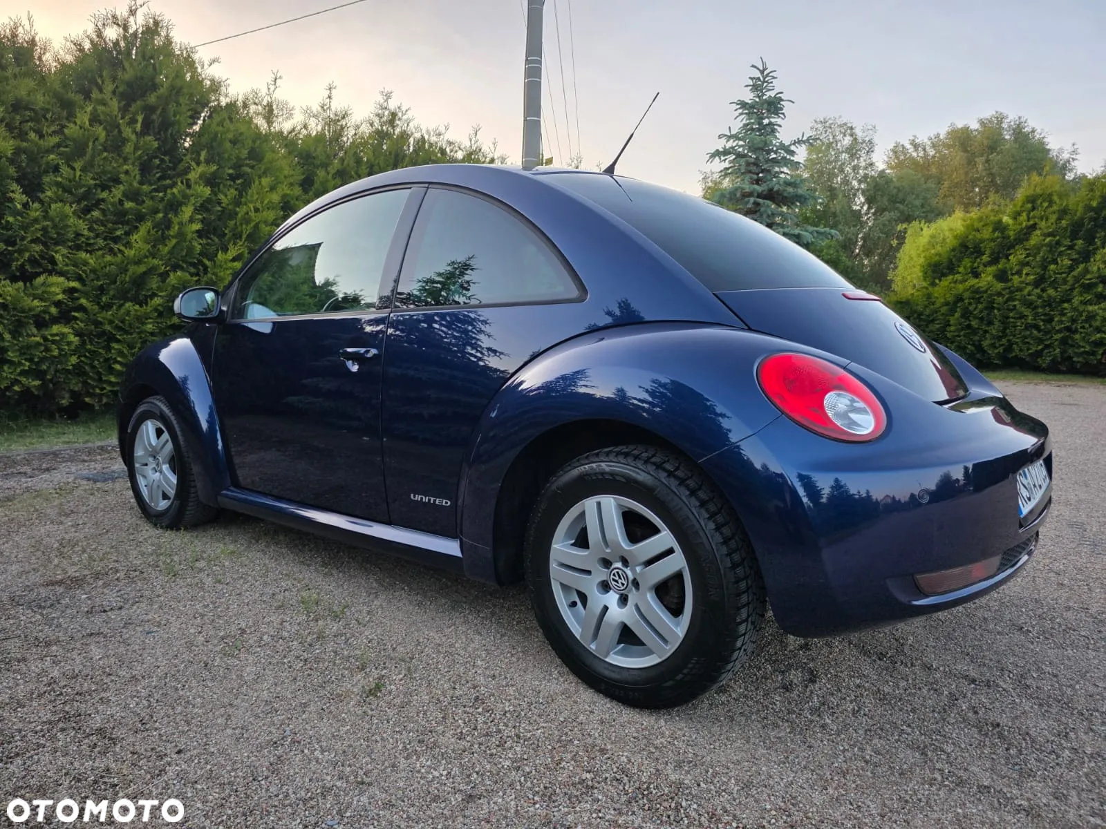 Volkswagen New Beetle 1.4 United - 6