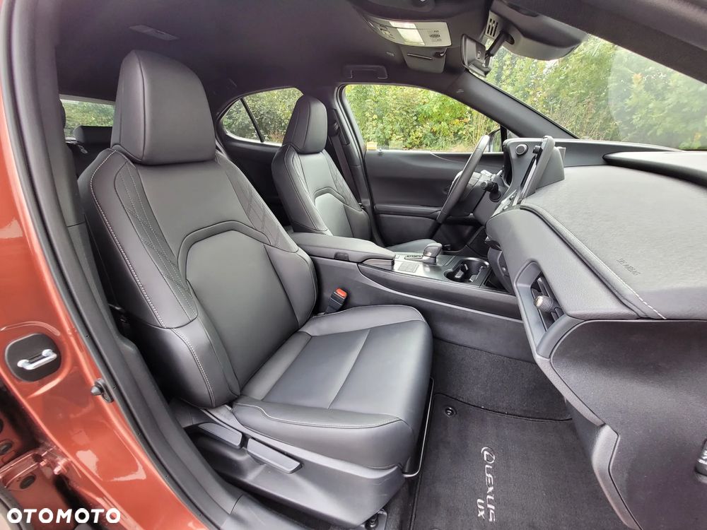 Lexus UX 300h F Sport Design - 13