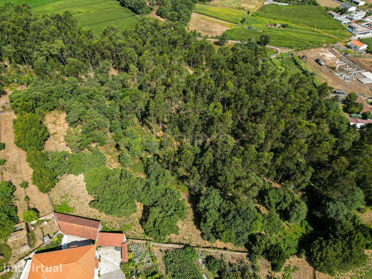 Terreno Rustico para Venda - Carvalhal - Barcelos - Grande imagem: 4/33