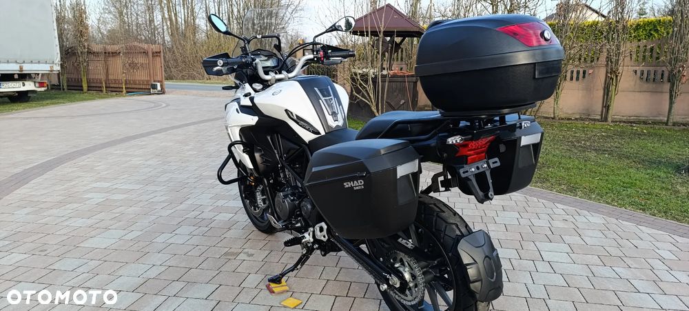 Benelli TRK 502 - 16