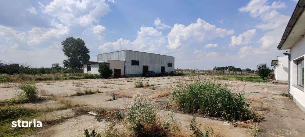 Călărași - Hală multifuncțională cu teren 30.000 mp - Imagine principală: 5/8