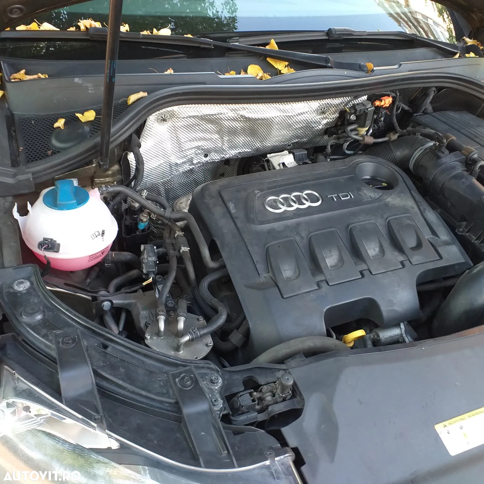 Audi Q3 - 31