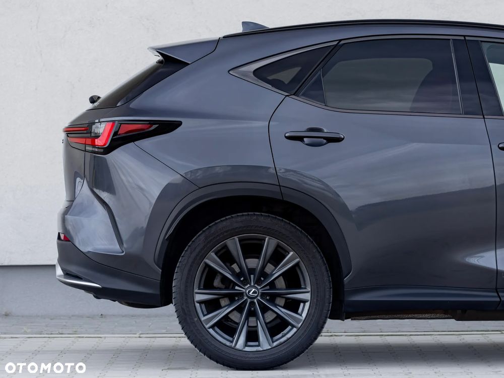Lexus NX - 6
