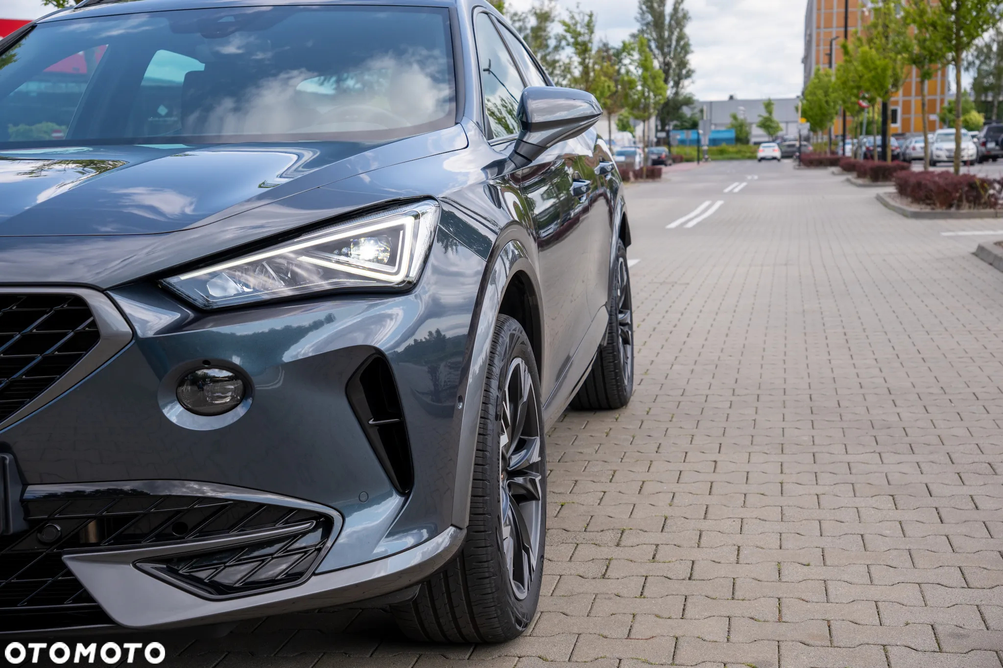 Cupra Formentor 2.0 TSI 4Drive DSG - 9