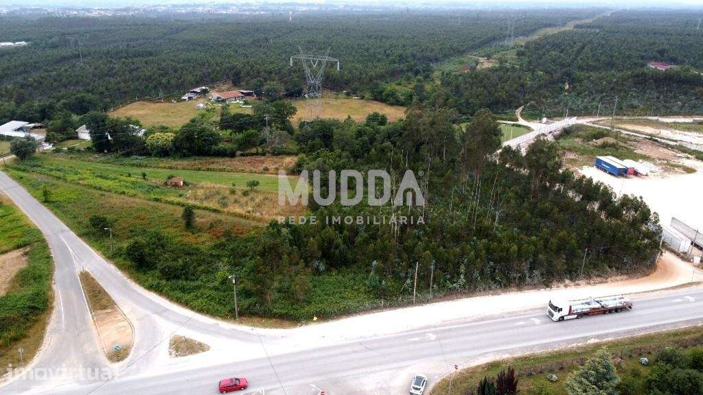 TERRENO RÚSTICO COM MAIS DE 8.700m2 - Grande imagem: 2/6