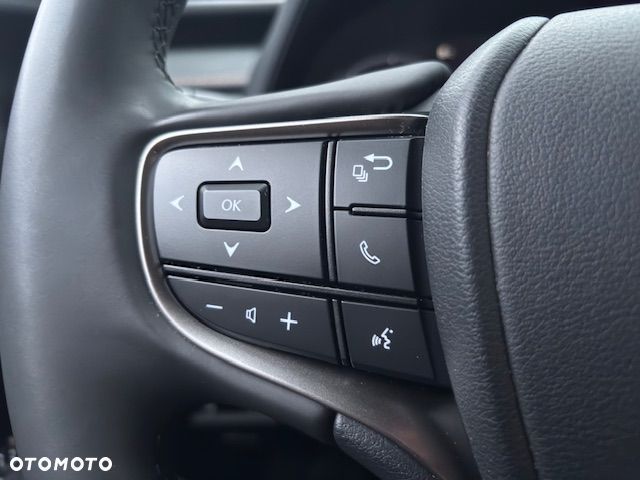 Lexus UX 300h F Sport Design AWD - 22