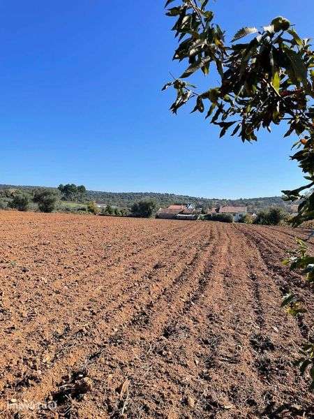 Quinta_Barragem do Azibo_Salselas - Grande imagem: 2/11