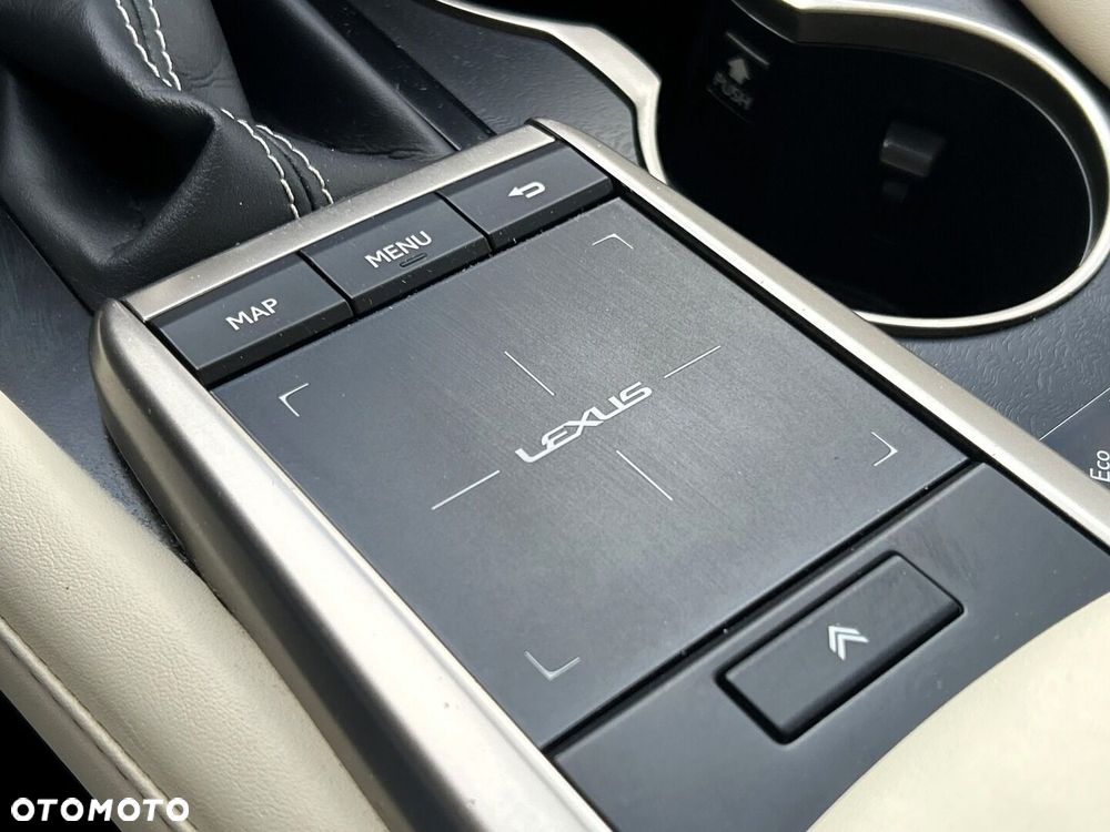 Lexus RX 450h F-Impression - 29