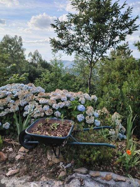 Vistas deslumbrantes, no meio da natureza, em Ribeira de Pena. - Grande imagem: 4/5