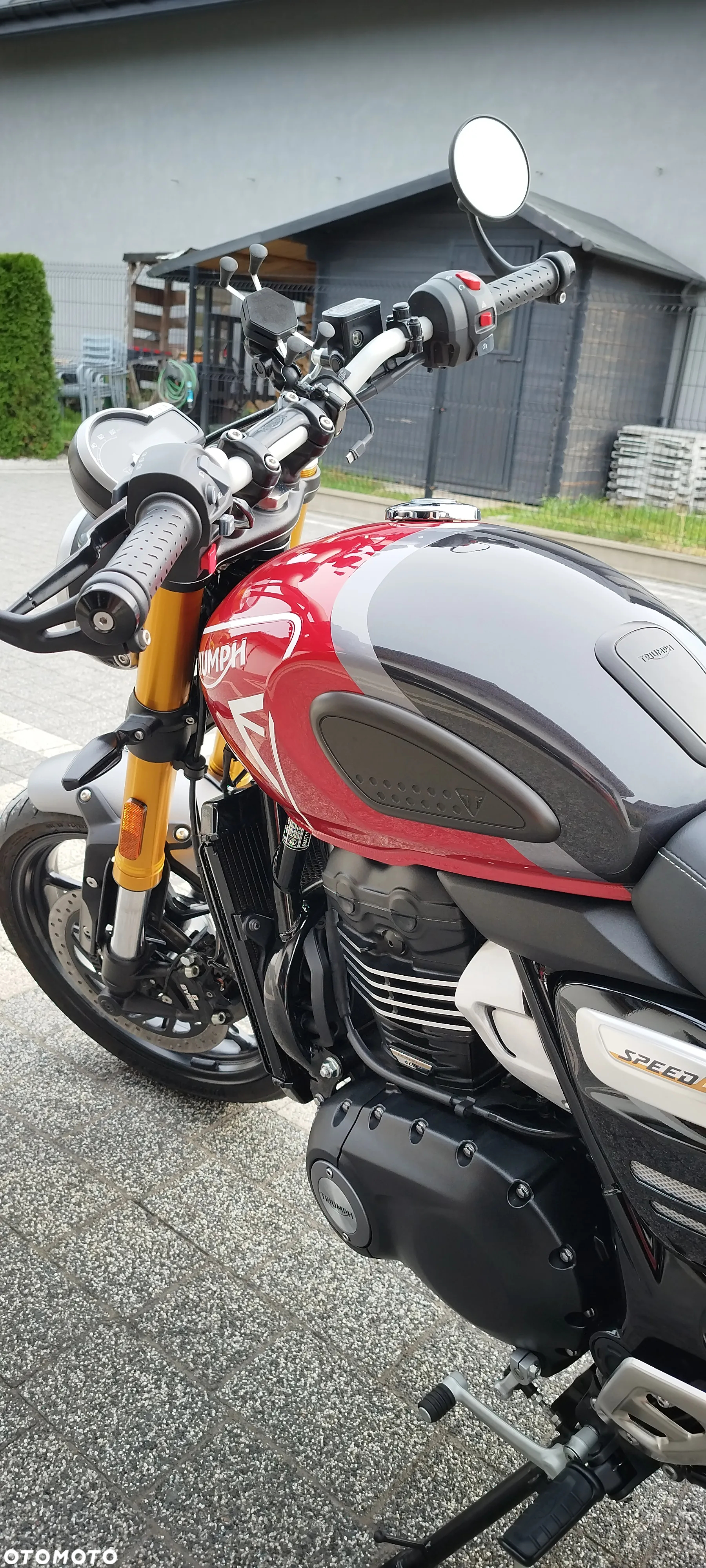 Triumph Inny - 8