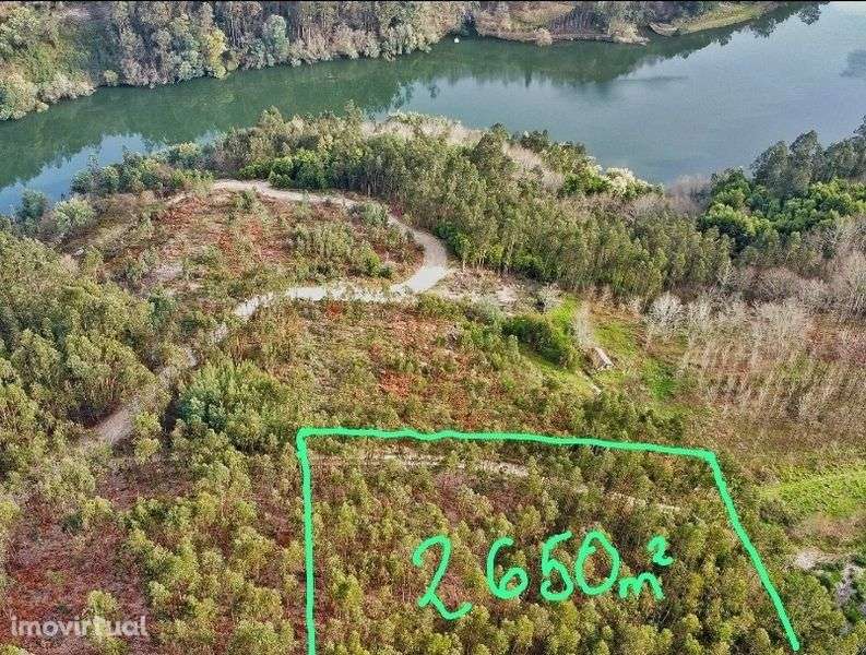 Terreno Rústico 5€ m2 - Grande imagem: 3/4