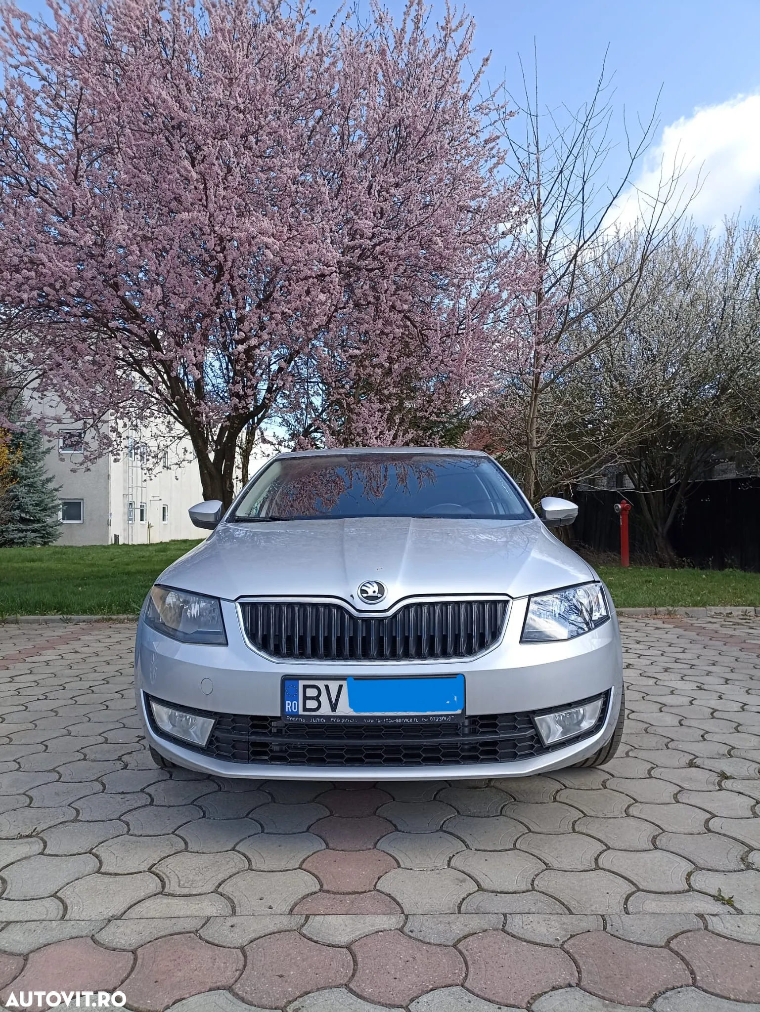 Skoda Octavia - 9