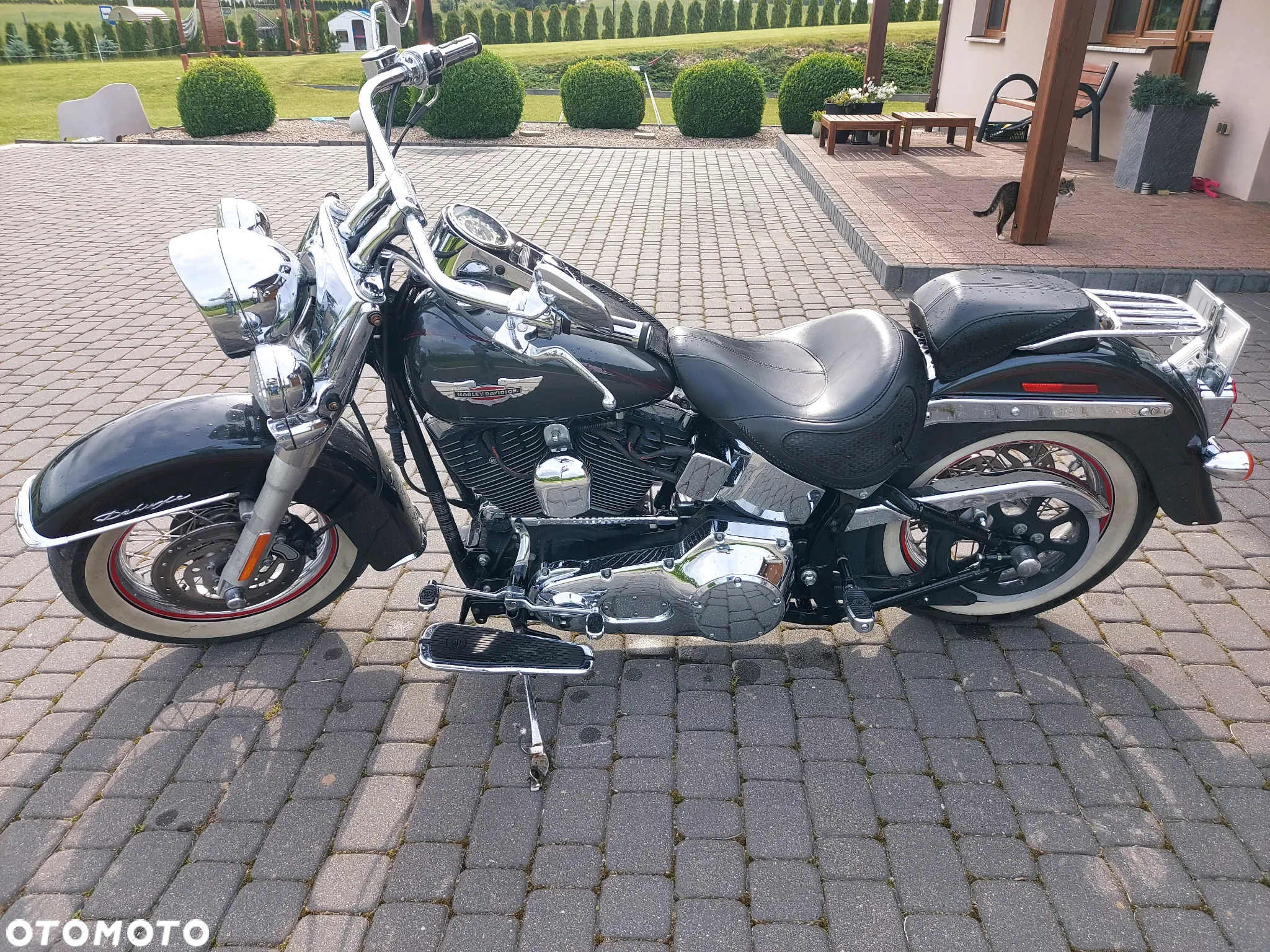 Harley-Davidson Softail Deluxe - 5