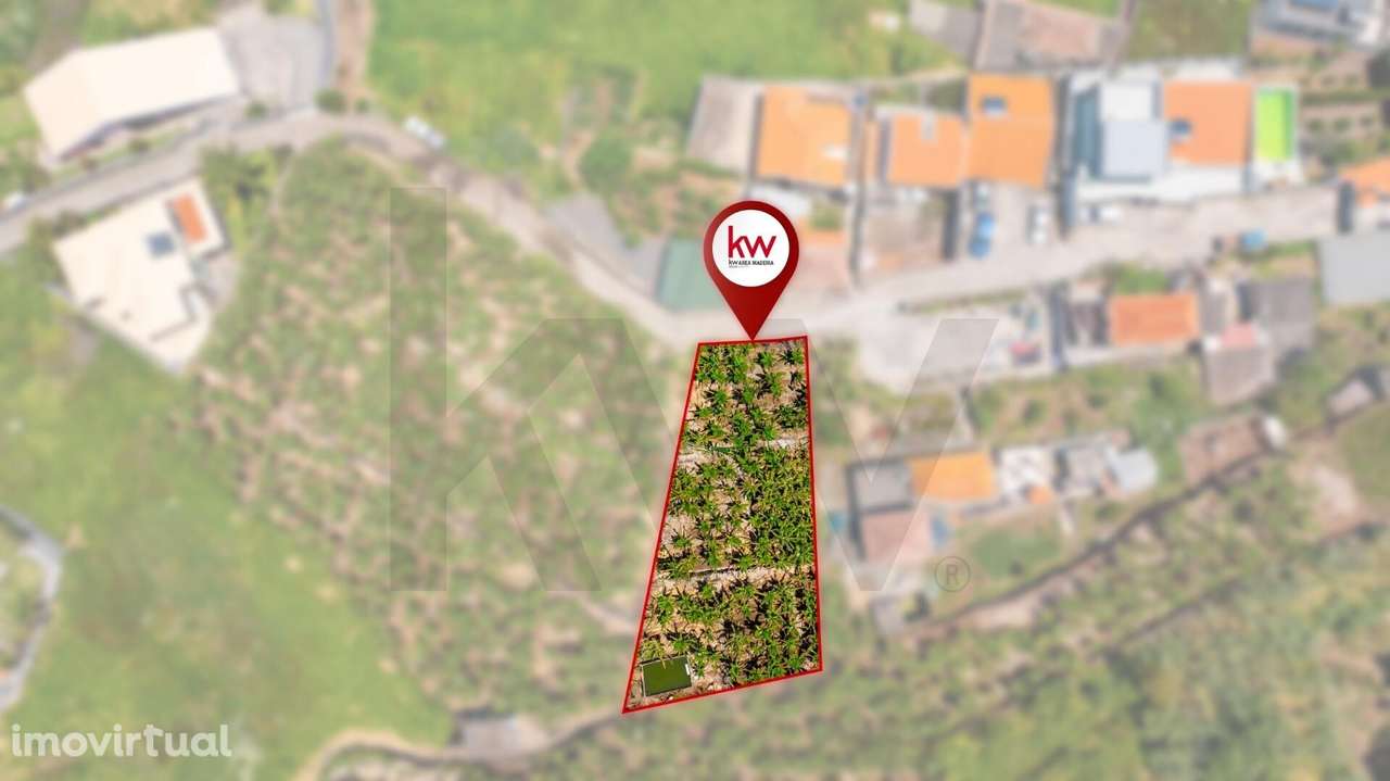 TERRENO RIBEIRA BRAVA - Grande imagem: 3/13