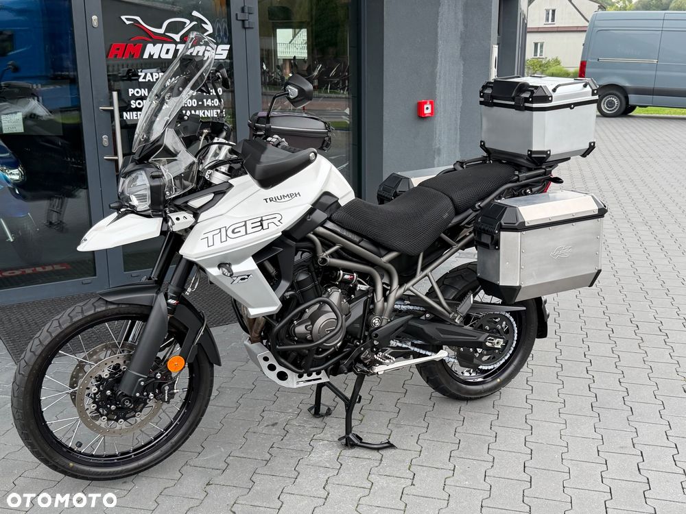 Triumph Tiger - 24