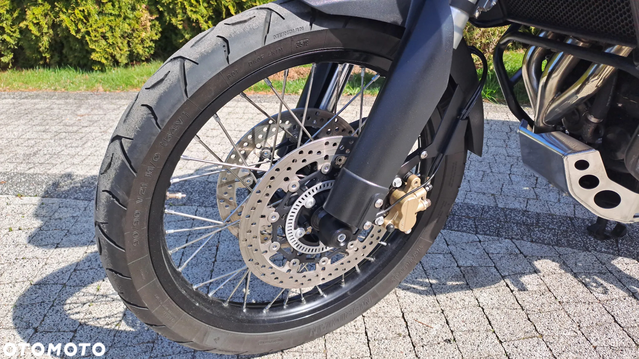 Triumph Tiger - 25