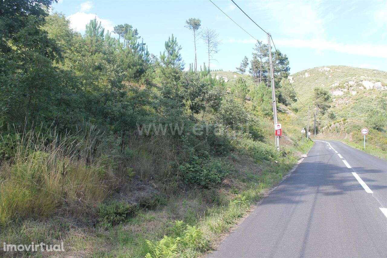 Terreno / Baião, Gove - Grande imagem: 3/6