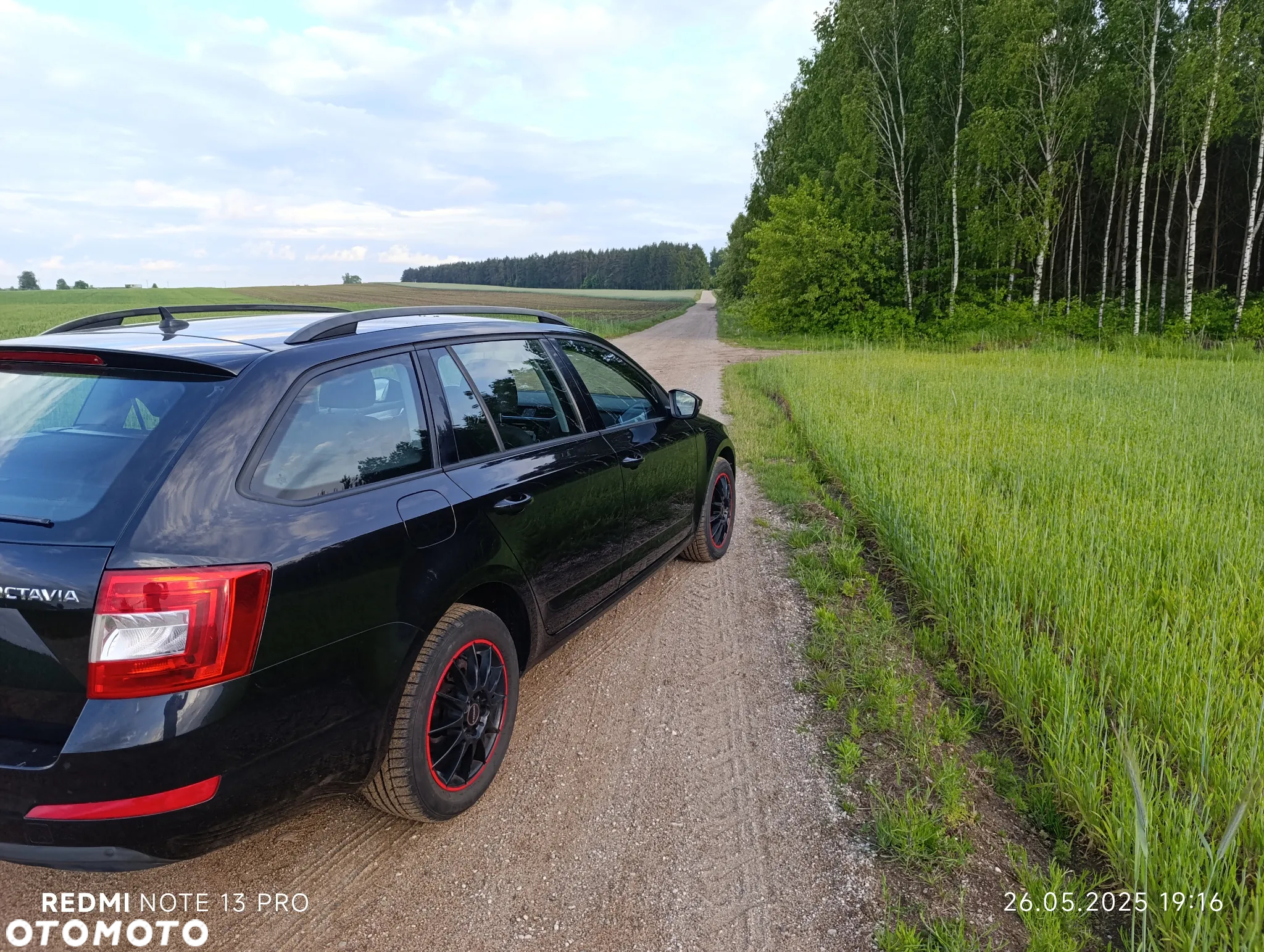 Skoda Octavia 1.6 TDI Ambiente - 13