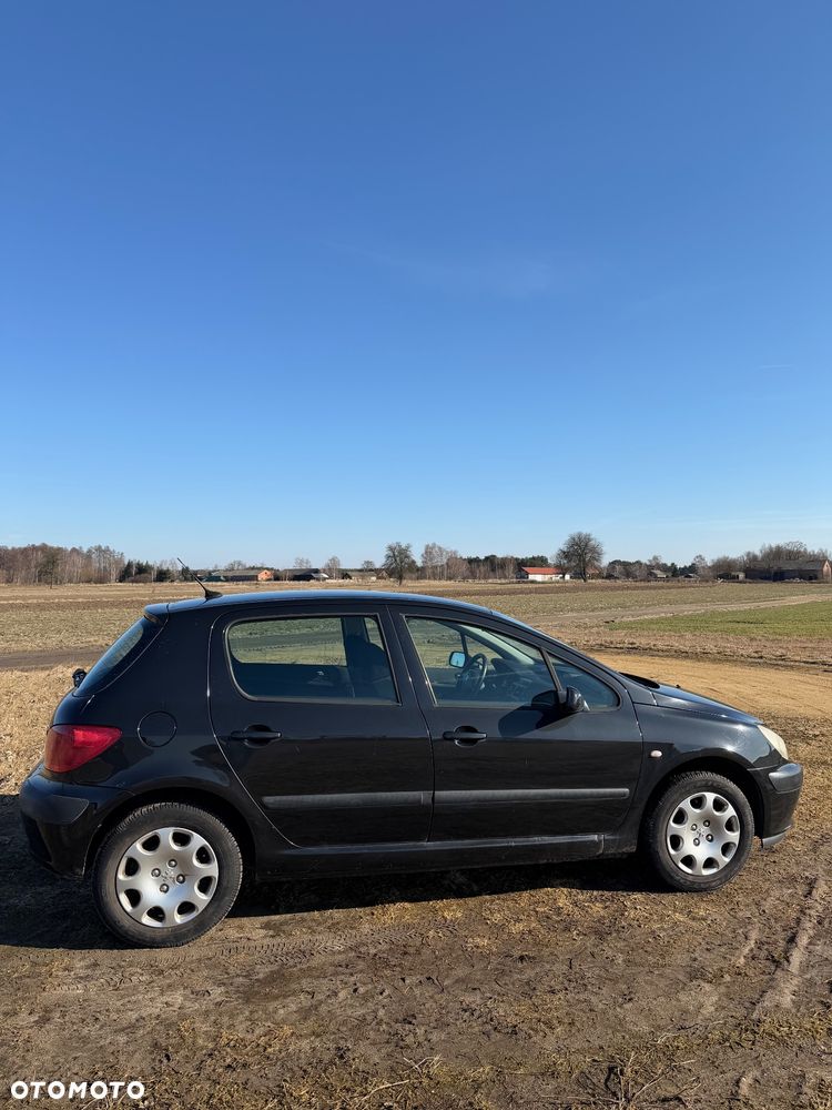 Peugeot 307 2005 photo 5