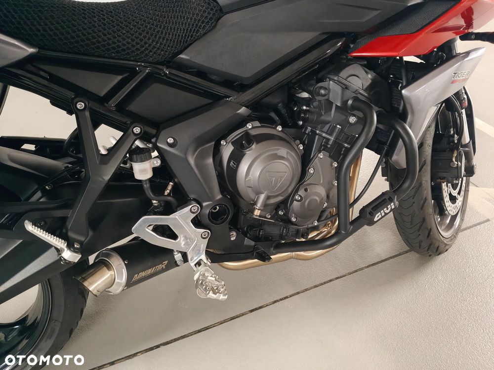 Triumph Tiger - 6