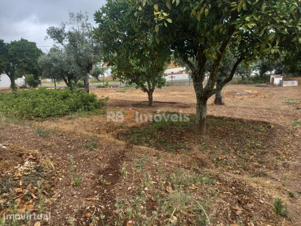 LOTE DE TERRENO - Grande imagem: 2/4
