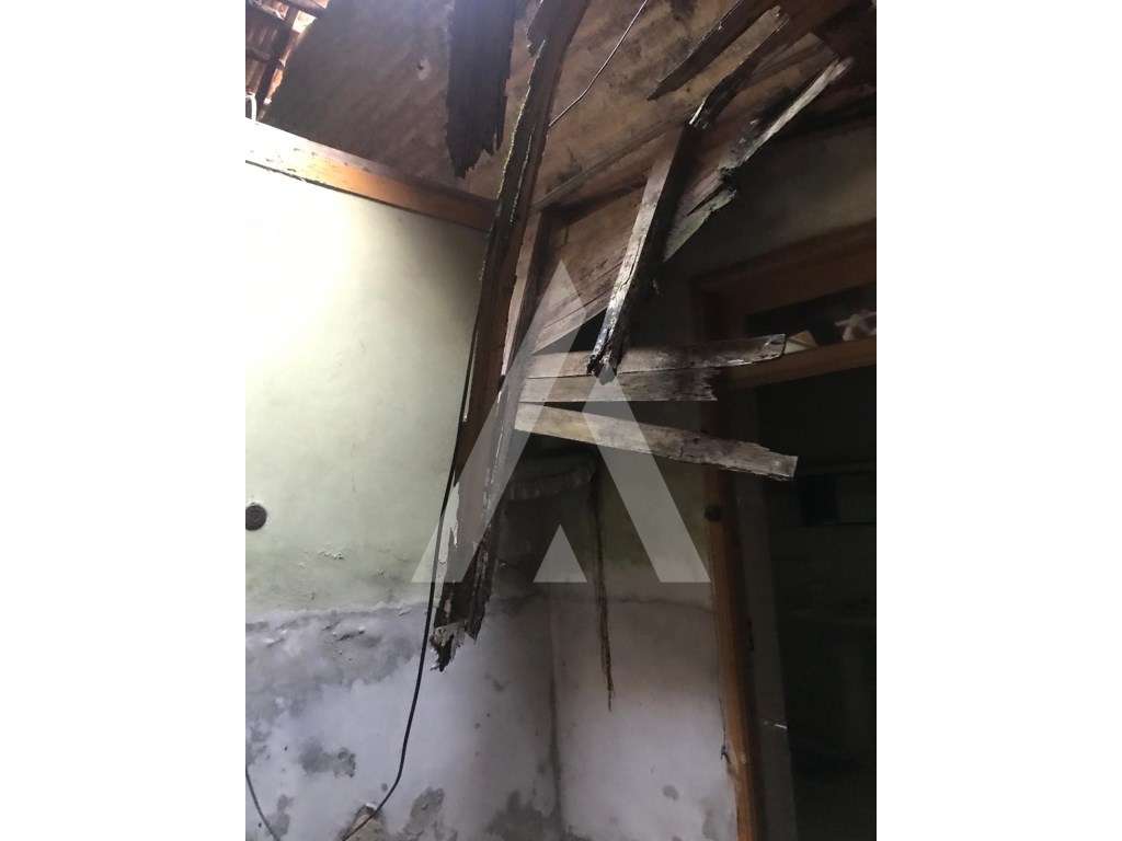 Moradia T3, Térrea na Mamarrosa - Grande imagem: 4/18