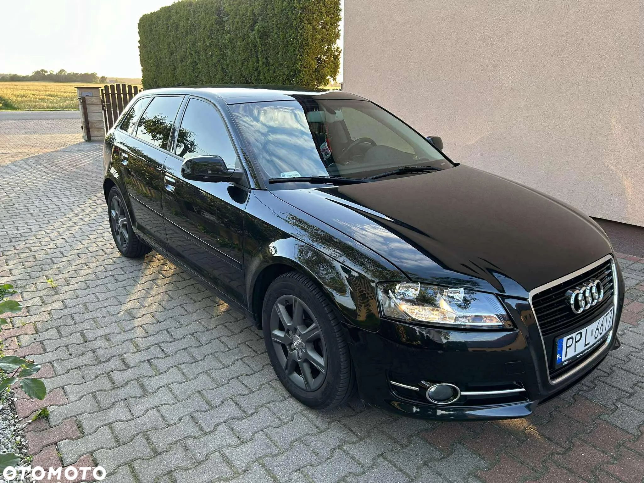 Audi A3 1.6 TDI DPF Ambiente S tronic - 1