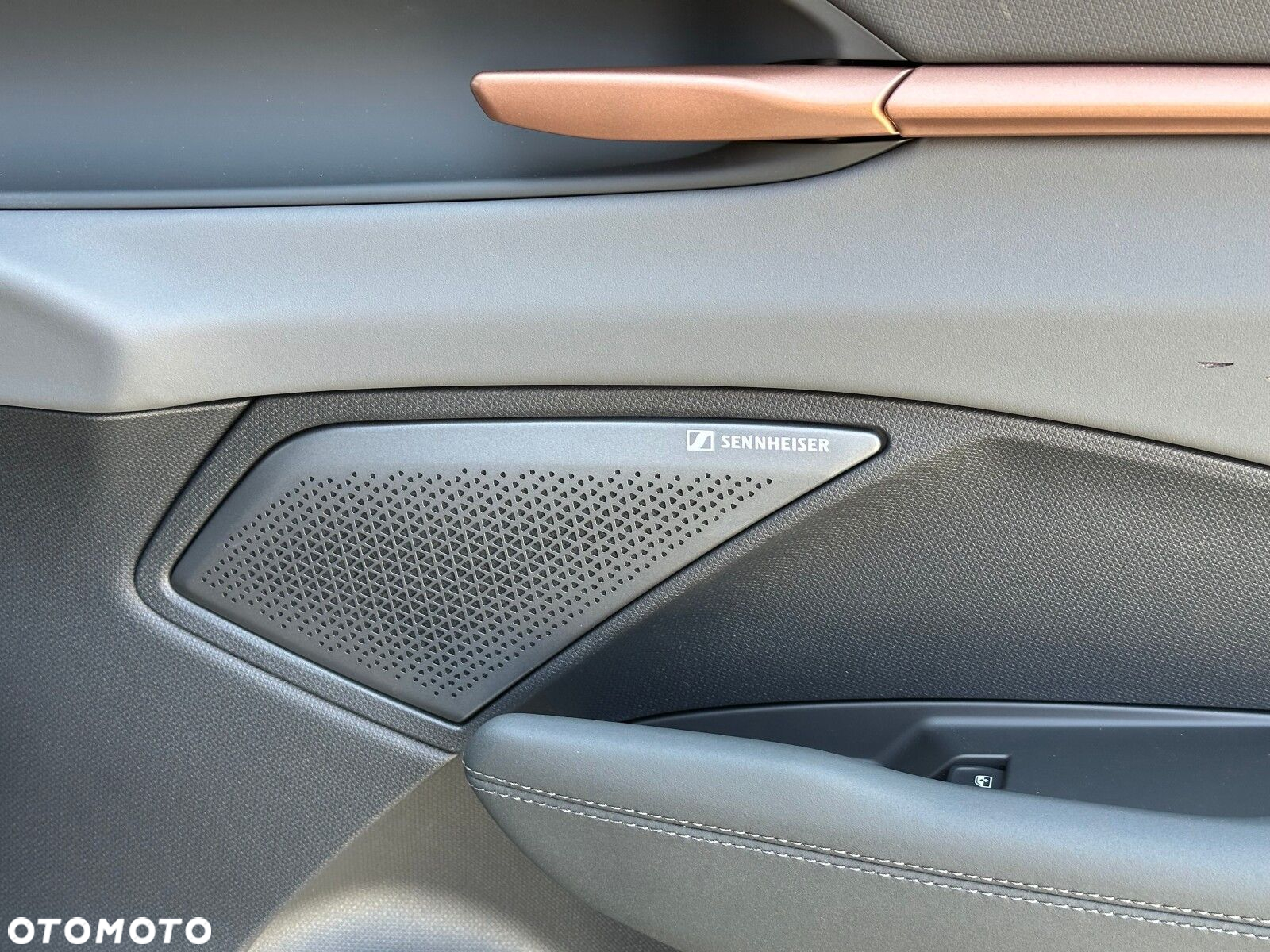Cupra Terramar - 19