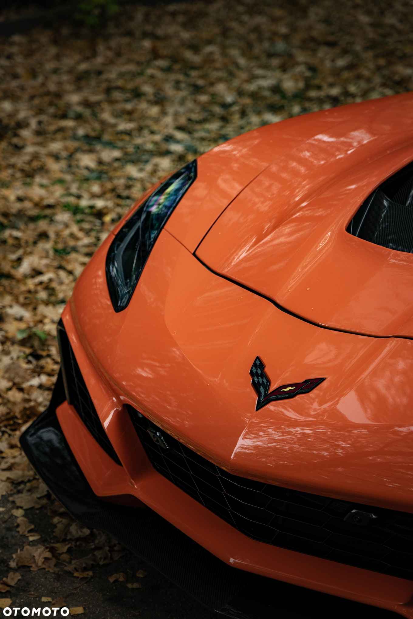 Chevrolet Corvette - 9