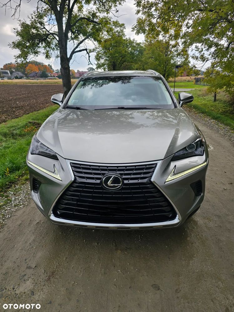 Lexus NX 300 Comfort AWD - 3